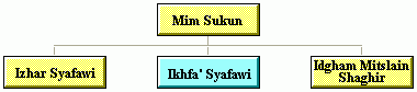 Mim Sukun: Ikhfa Syafawi